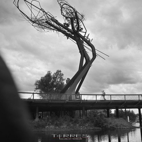 Huwelijksreportage,fotoshoot,bruid,bruidegom, Tomorrowland,Huwelijksfotograaf Torres