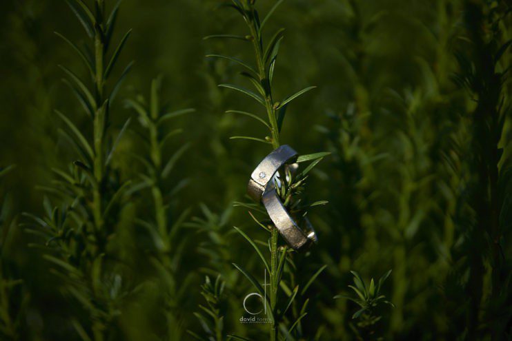 Oost-Vlaanderen huwelijksfotografen