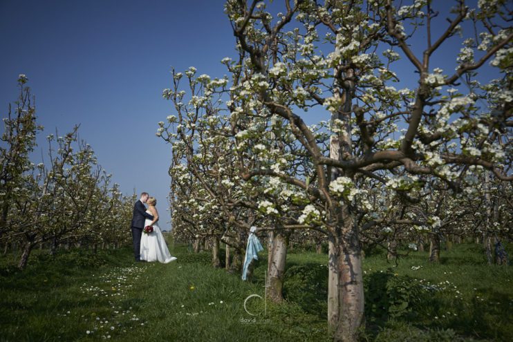 huwelijk fotograaf zwijndrecht